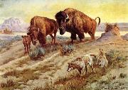 Buffalo Family